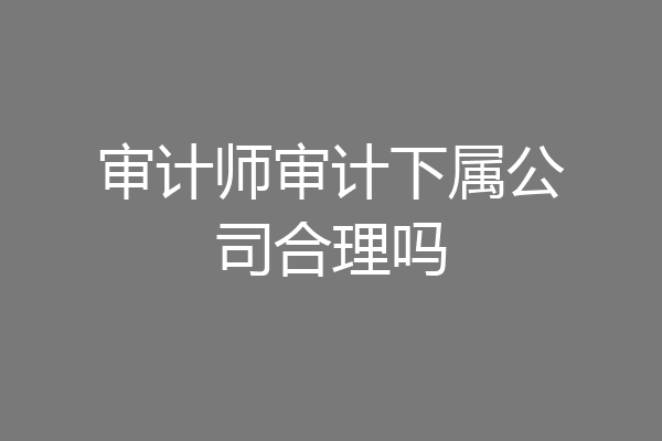 审计师审计下属公司合理吗