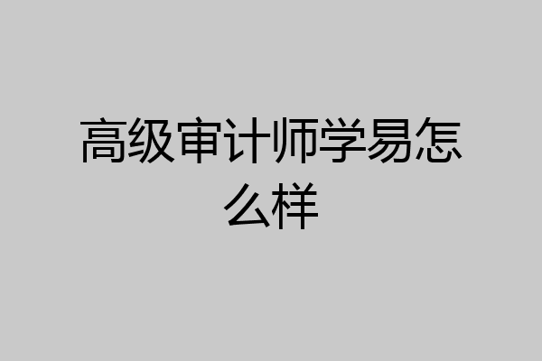 高级审计师学易怎么样