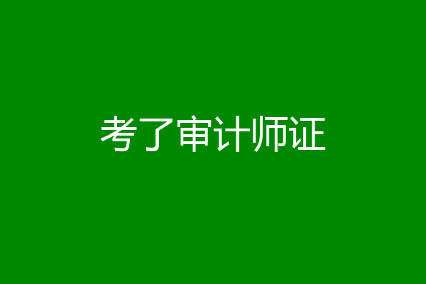 考了审计师证