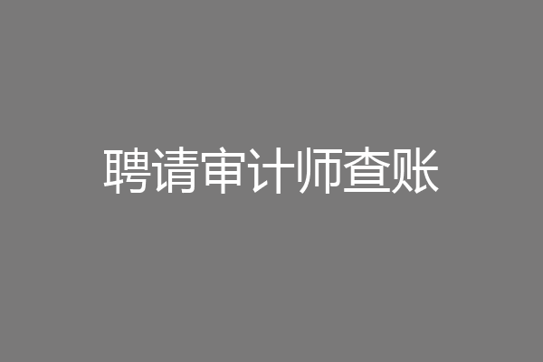 聘请审计师查账