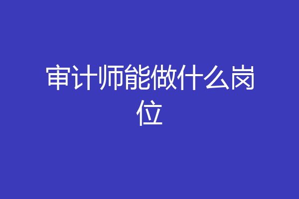 审计师能做什么岗位