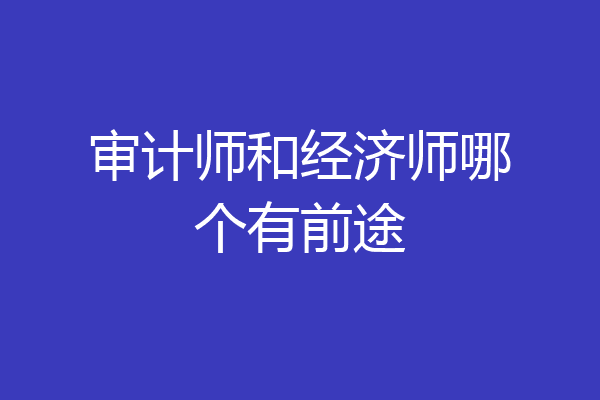审计师和经济师哪个有前途