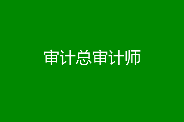 审计总审计师