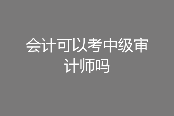会计可以考中级审计师吗