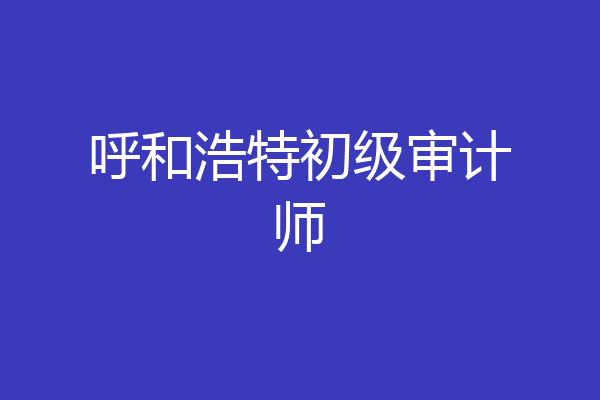呼和浩特初级审计师