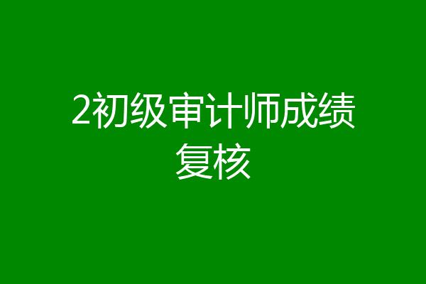 2初级审计师成绩复核