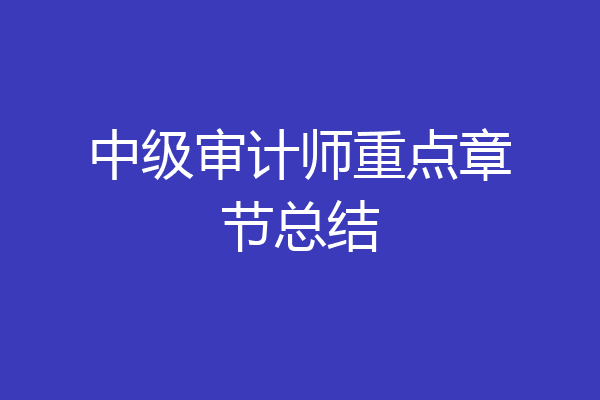 中级审计师重点章节总结