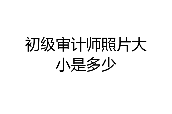 初级审计师照片大小是多少