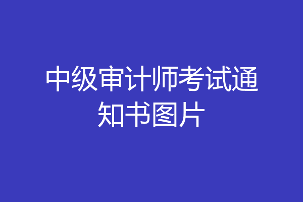 中级审计师考试通知书图片