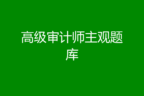 高级审计师主观题库