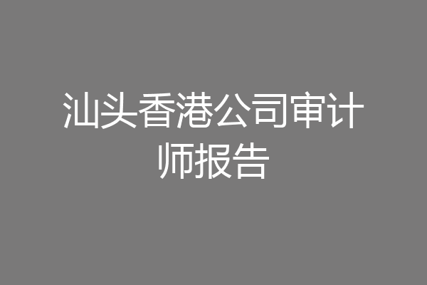 汕头香港公司审计师报告