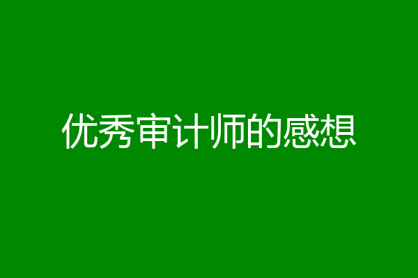 优秀审计师的感想