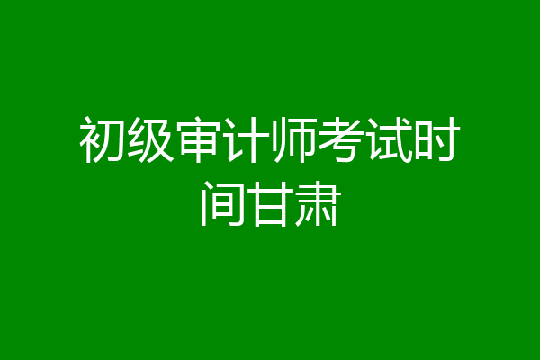 初级审计师考试时间甘肃