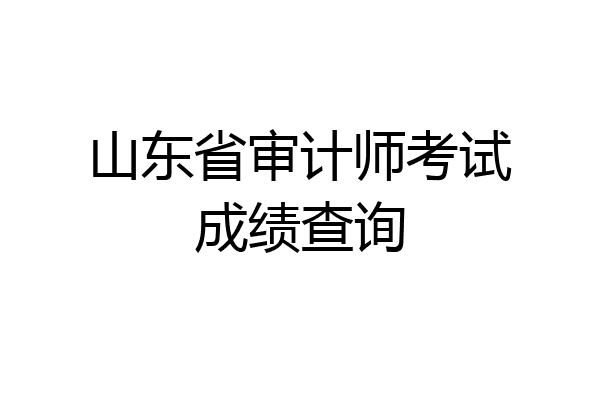 山东省审计师考试成绩查询