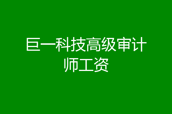 巨一科技高级审计师工资