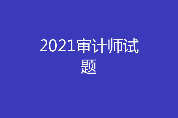 2021审计师试题
