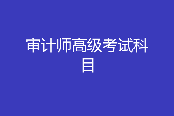 审计师高级考试科目