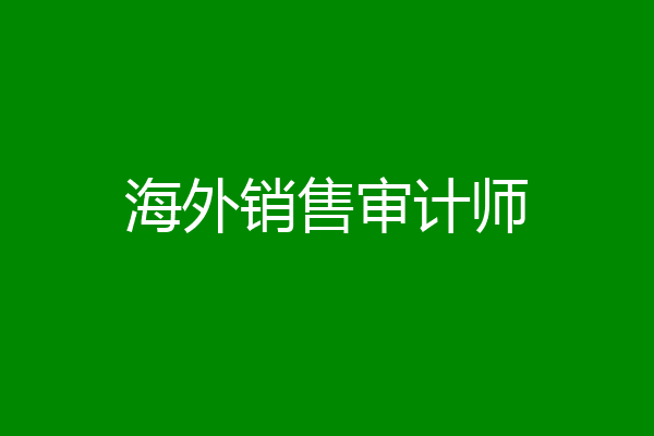 海外销售审计师