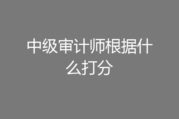 中级审计师根据什么打分