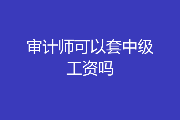 审计师可以套中级工资吗