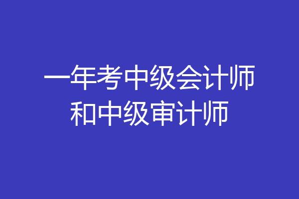 一年考中级会计师和中级审计师