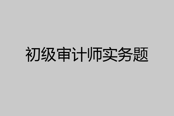 初级审计师实务题