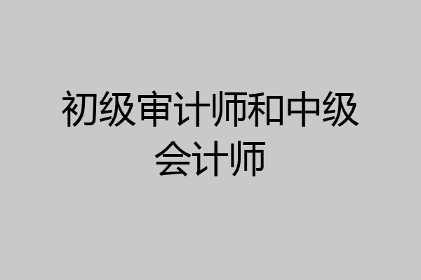 初级审计师和中级会计师