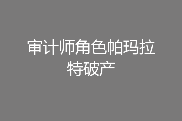 审计师角色帕玛拉特破产