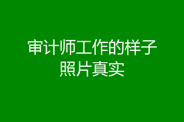 审计师工作的样子照片真实