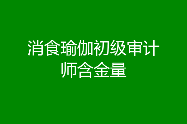 消食瑜伽初级审计师含金量