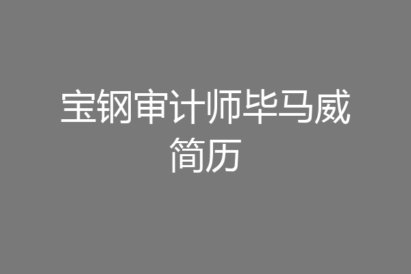 宝钢审计师毕马威简历
