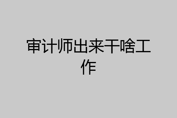 审计师出来干啥工作