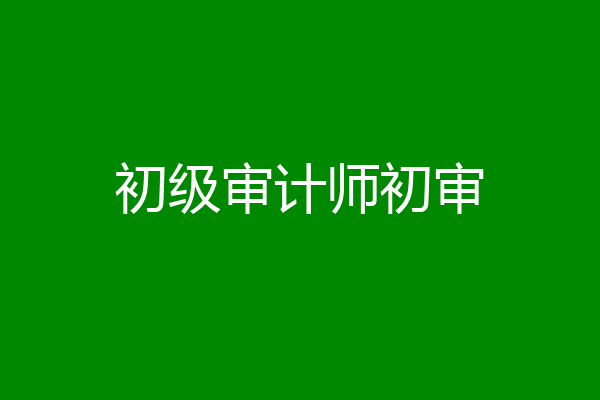 初级审计师初审