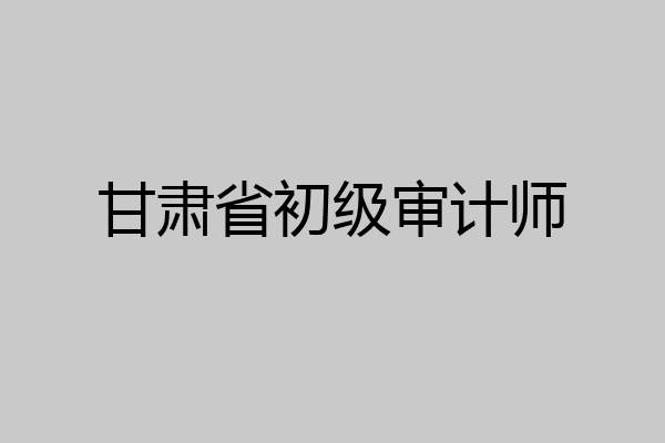 甘肃省初级审计师