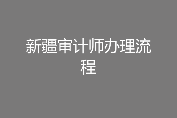 新疆审计师办理流程