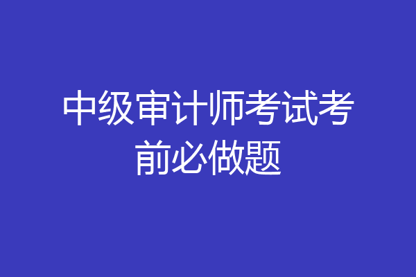 中级审计师考试考前必做题