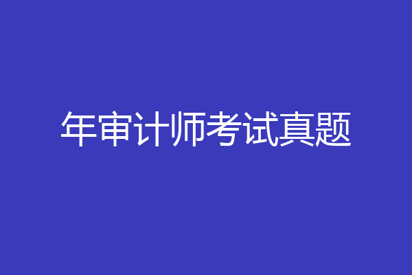 年审计师考试真题