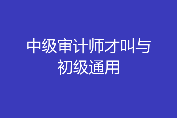 中级审计师才叫与初级通用