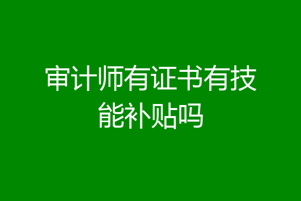 审计师有证书有技能补贴吗