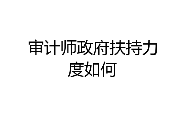 审计师政府扶持力度如何