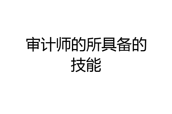 审计师的所具备的技能