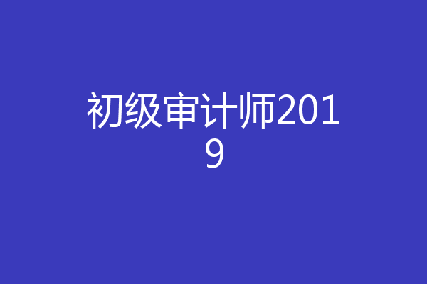 初级审计师2019