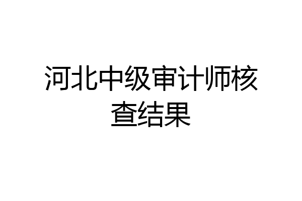 河北中级审计师核查结果