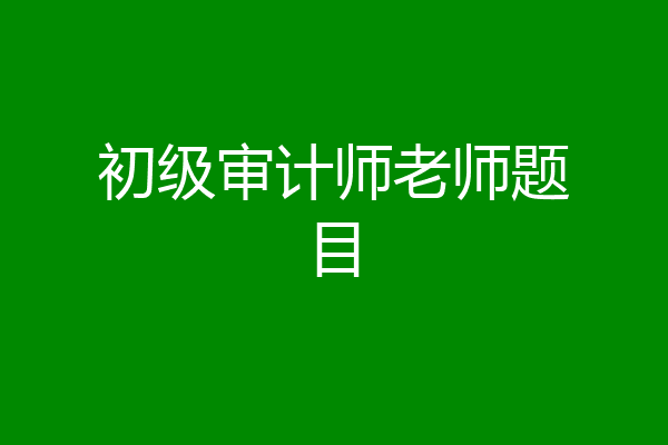 初级审计师老师题目