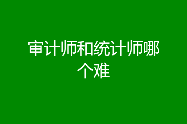 审计师和统计师哪个难