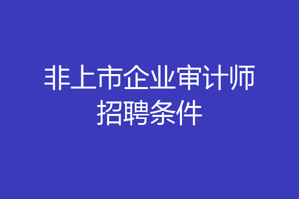 非上市企业审计师招聘条件