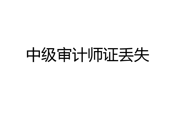 中级审计师证丢失