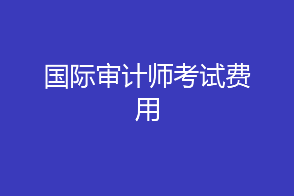 国际审计师考试费用