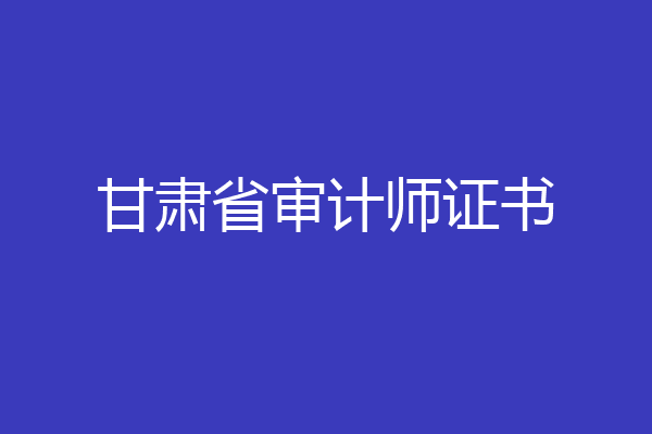 甘肃省审计师证书