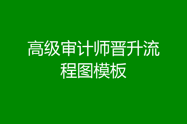 高级审计师晋升流程图模板